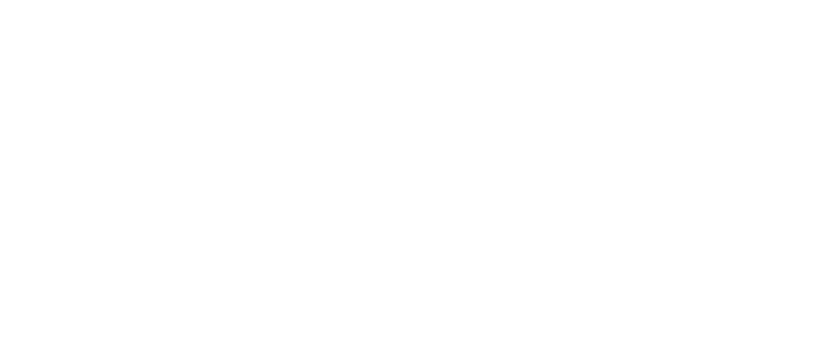 Logo Dreamax