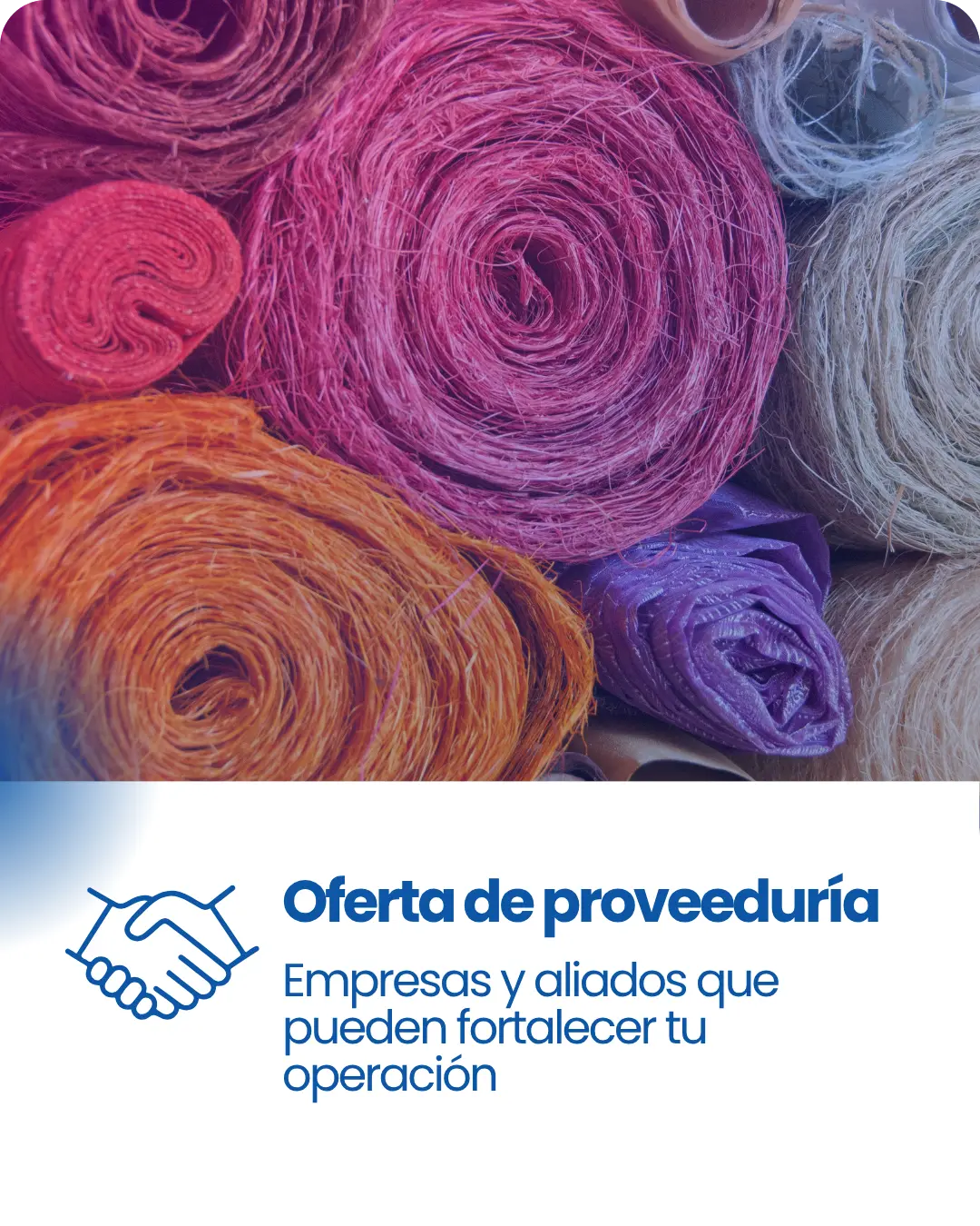 Oferta de proveeduría: Empresas y aliados que pueden fortalecer tu operación