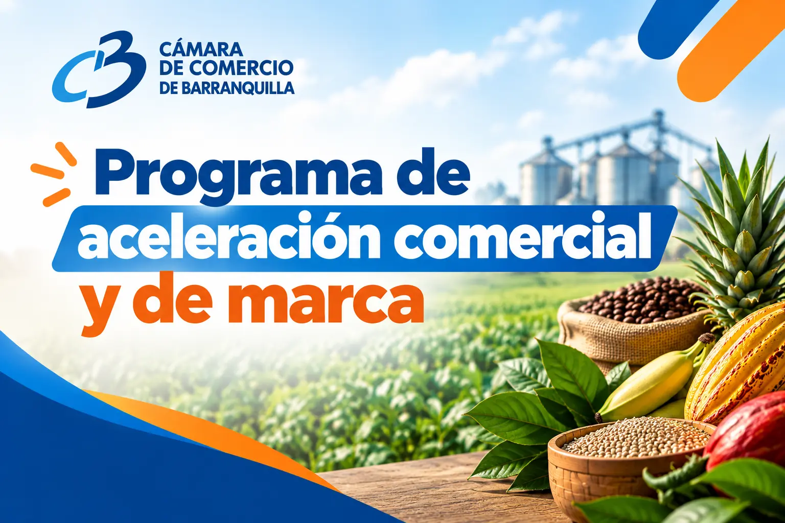 Imagen Marketing y Oportunidades